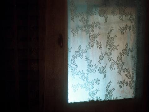 Kachrimanis Cabinet of Curiosities N° 2 h